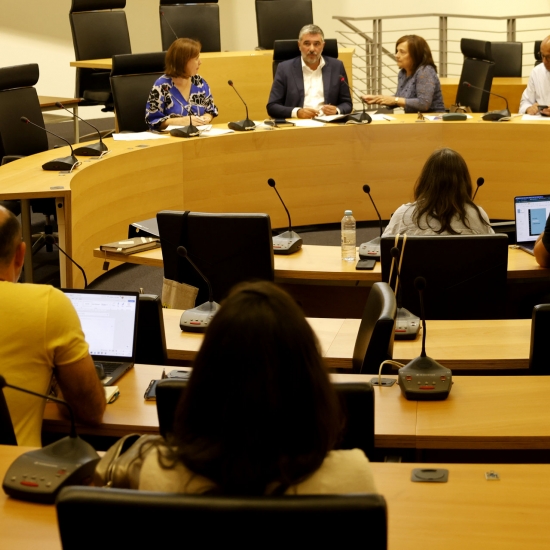 CANDIDATURA DA COVILH&Atilde; A CAPITAL PORTUGUESA DA CULTURA COM PARECER FAVOR&Aacute;VEL DO CONSELHO MUNICIPAL DE CULTURA